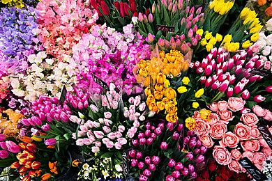 迅游助力国庆假期《战地2042》B测！风云再战